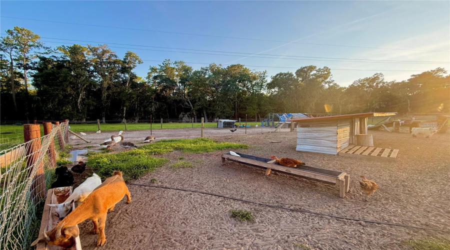 Brooksville, Florida 34601, 5 Bedroom Bedrooms, ,3 Bathroombathrooms,Residential,For Sale,Ladyhawk,0,Mfrtb8540624