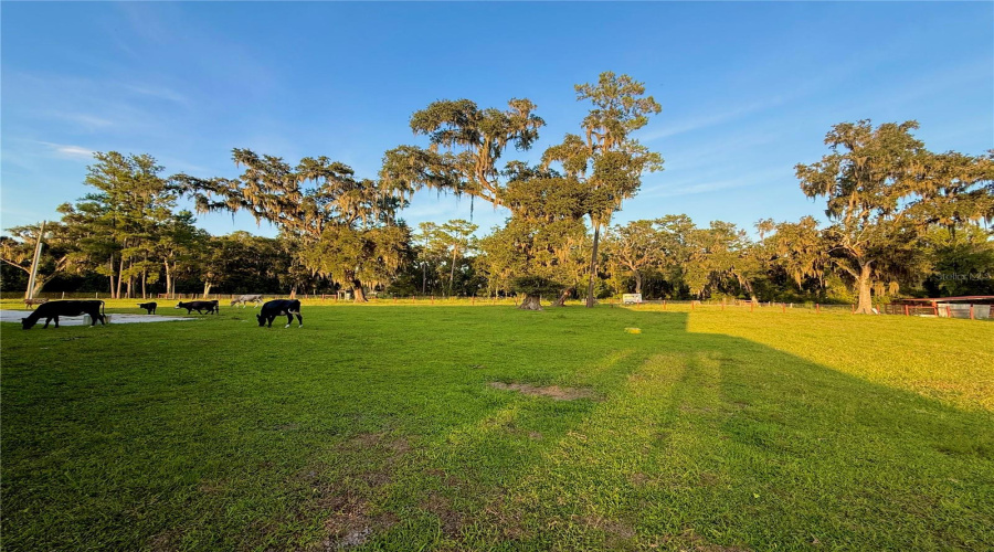Brooksville, Florida 34601, 5 Bedroom Bedrooms, ,3 Bathroombathrooms,Residential,For Sale,Ladyhawk,0,Mfrtb8540624