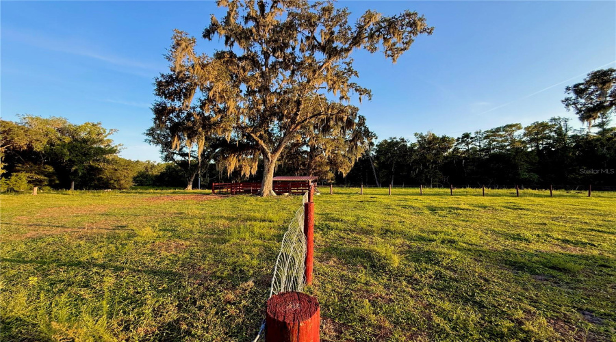 Brooksville, Florida 34601, 5 Bedroom Bedrooms, ,3 Bathroombathrooms,Residential,For Sale,Ladyhawk,0,Mfrtb8540624