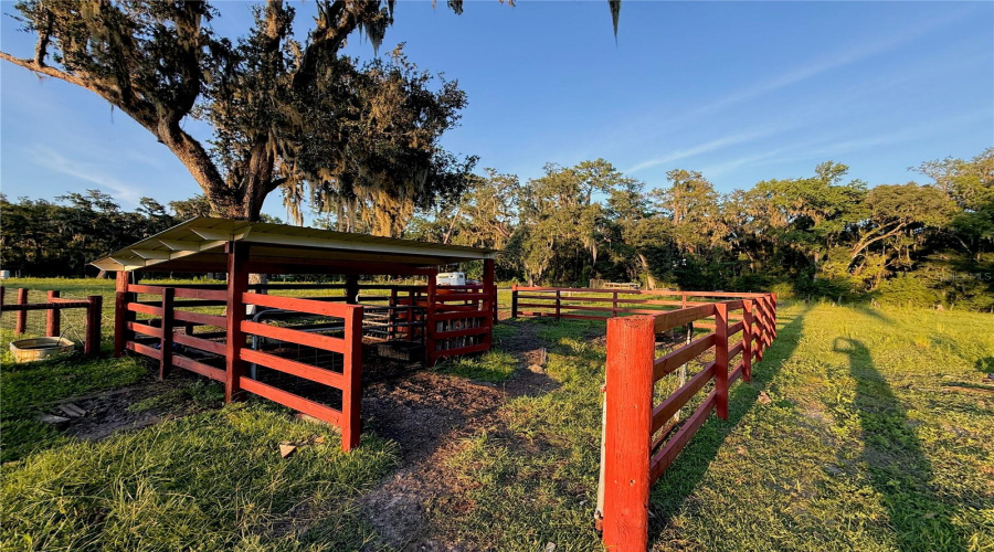 Brooksville, Florida 34601, 5 Bedroom Bedrooms, ,3 Bathroombathrooms,Residential,For Sale,Ladyhawk,0,Mfrtb8540624
