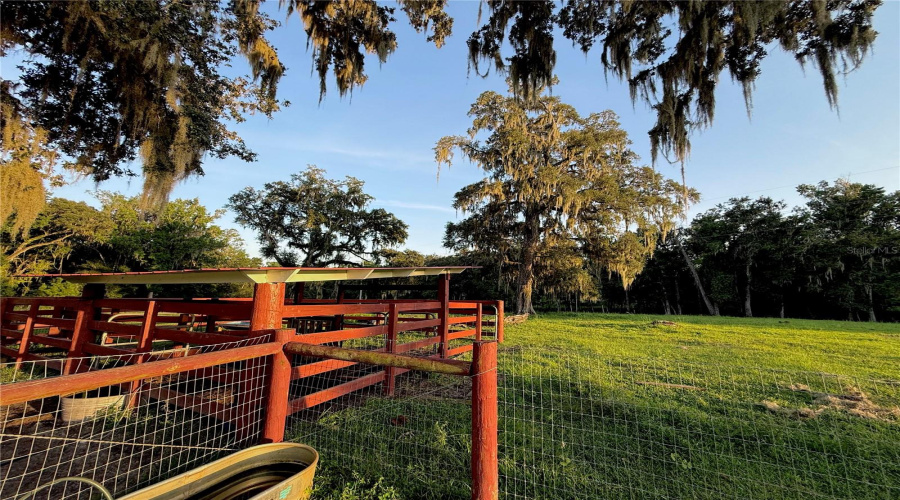 Brooksville, Florida 34601, 5 Bedroom Bedrooms, ,3 Bathroombathrooms,Residential,For Sale,Ladyhawk,0,Mfrtb8540624