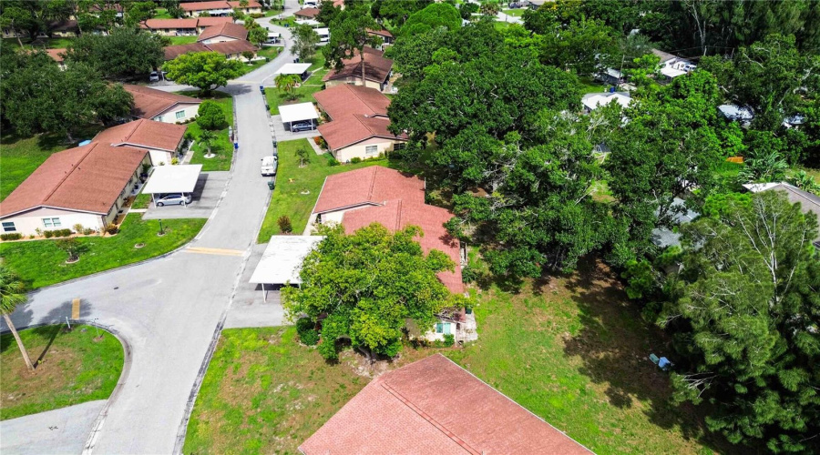 Ariel View