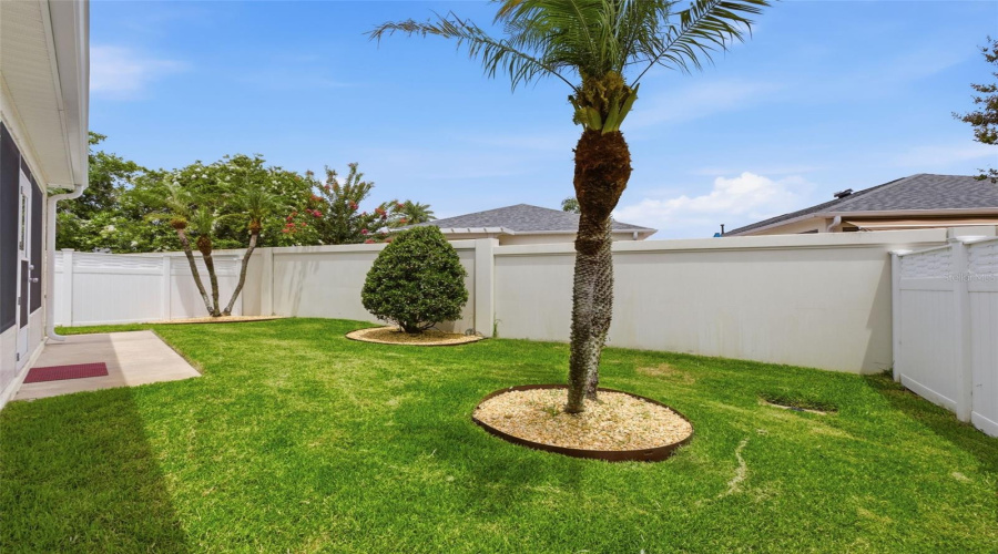 Backyard 2