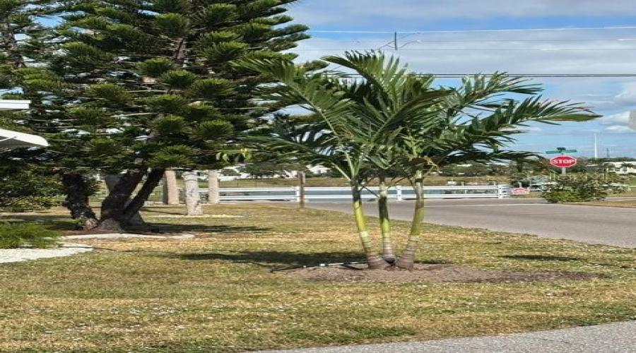 Venice, Florida 34285, 2 Bedroom Bedrooms, ,1 Bathroombathrooms,Residential,For Sale,Carefree,0,Mfrn6142934