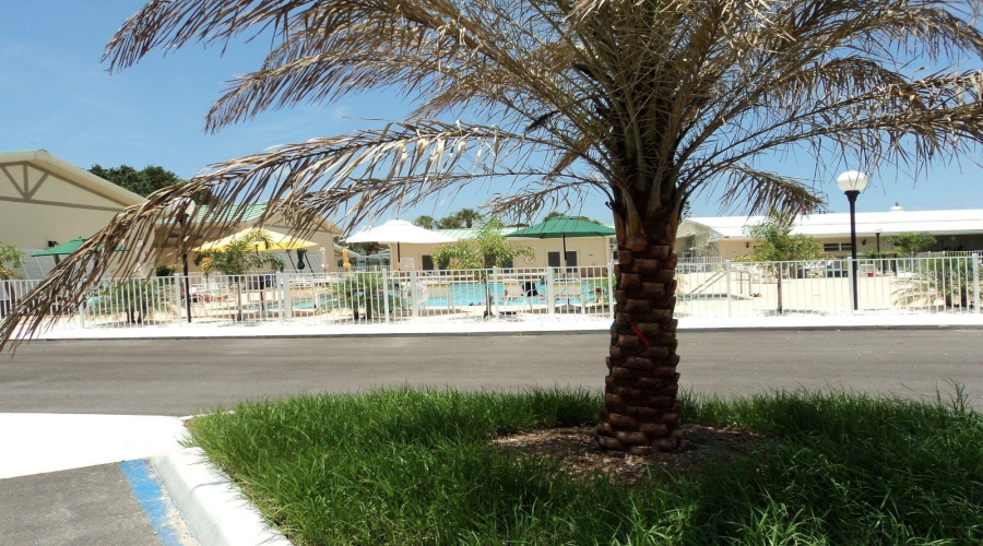 Venice, Florida 34285, 2 Bedroom Bedrooms, ,1 Bathroombathrooms,Residential,For Sale,Carefree,0,Mfrn6142934