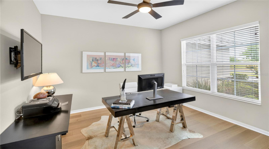 Office/Flex Area