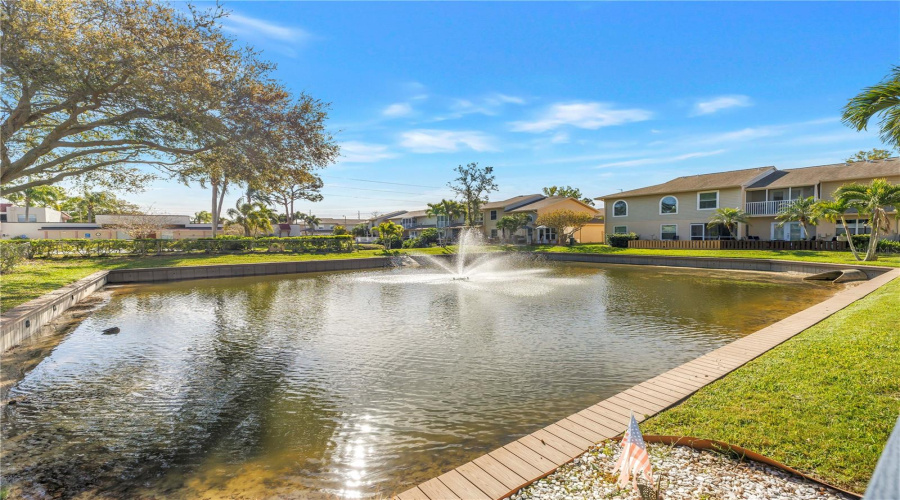 Pond View