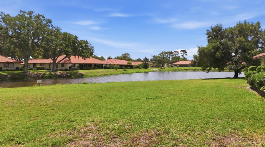 Pond In Back Yard