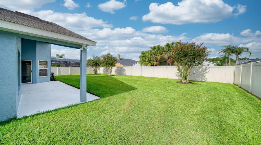 Back Yard
