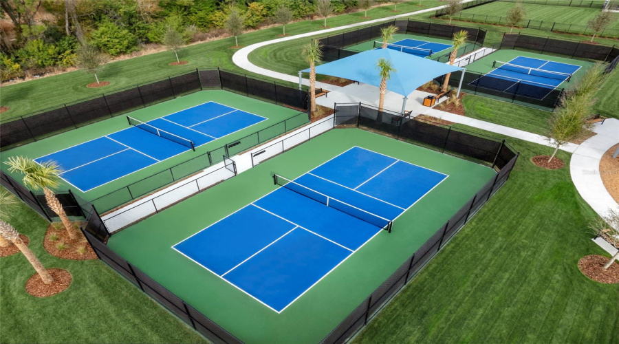 Pickleball