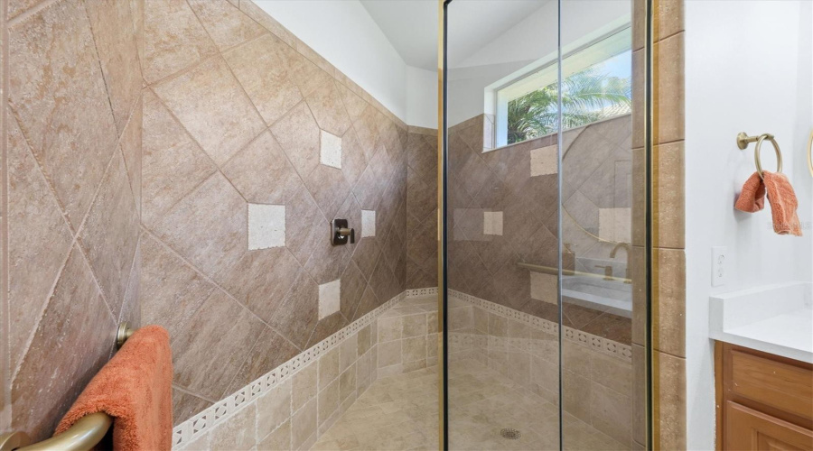 Master Shower