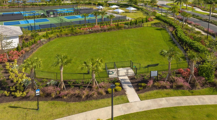 Bark Park
