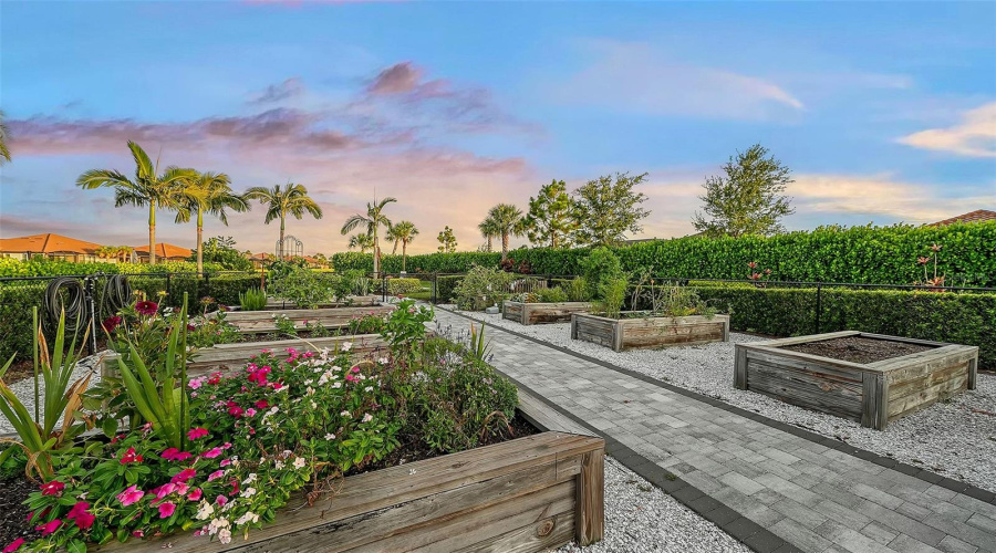 Community Garden