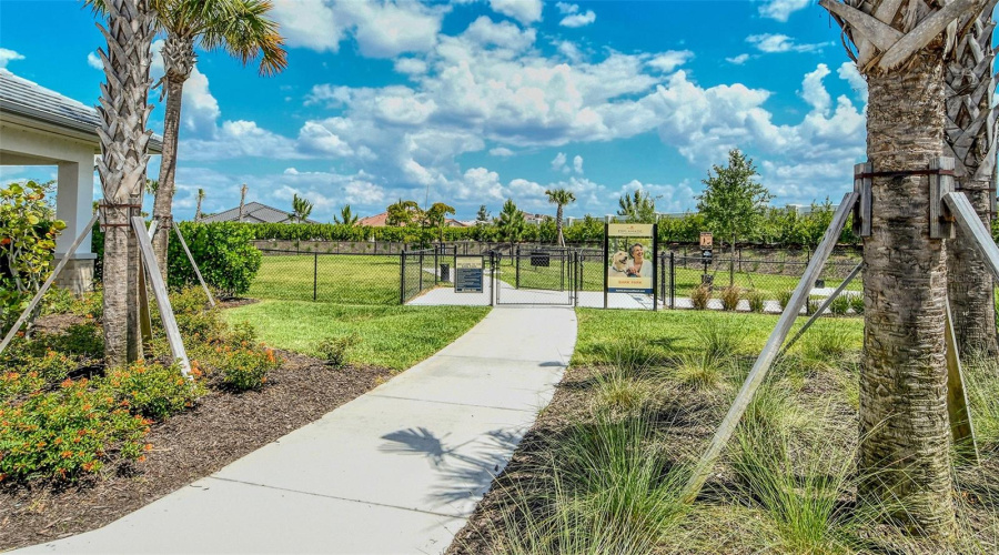Bark Park