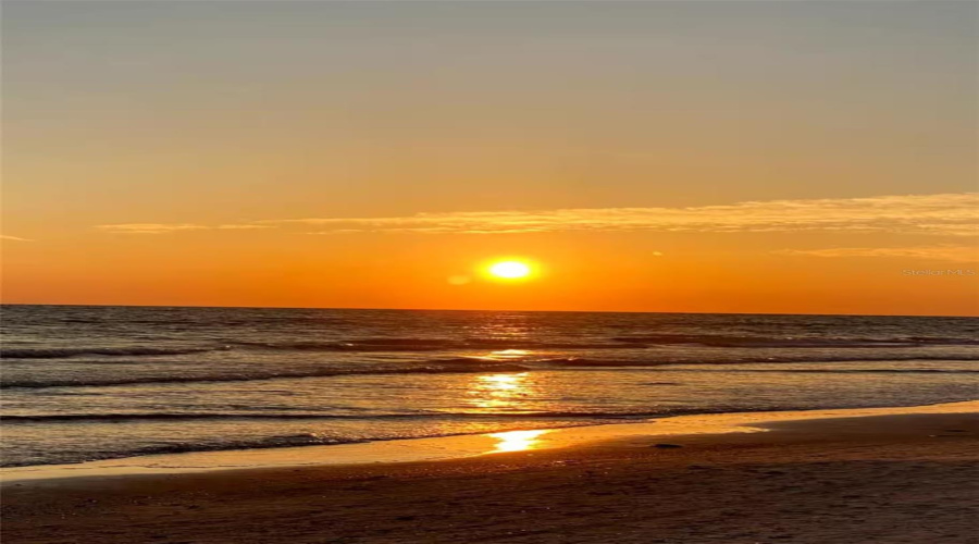St Petersburg, Florida 33708, 1 Bedroom Bedrooms, ,1 Bathroombathrooms,Residential,For Sale,Gulf,0,Mfrtb8510510