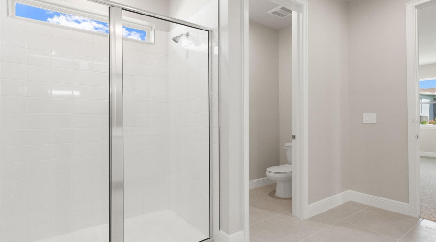 Primary Shower