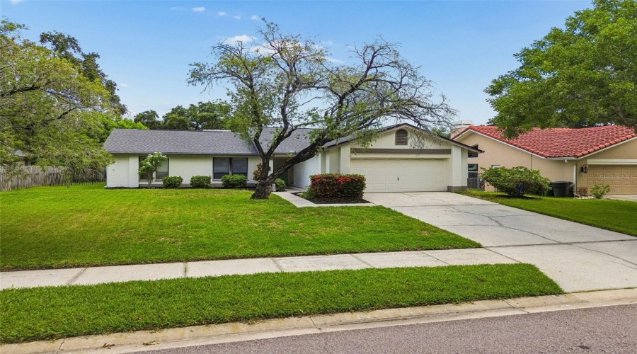 Safety Harbor, Florida 34695, 3 Bedroom Bedrooms, ,2 Bathroombathrooms,Residential,For Sale,Walker,0,Mfrtb8529306