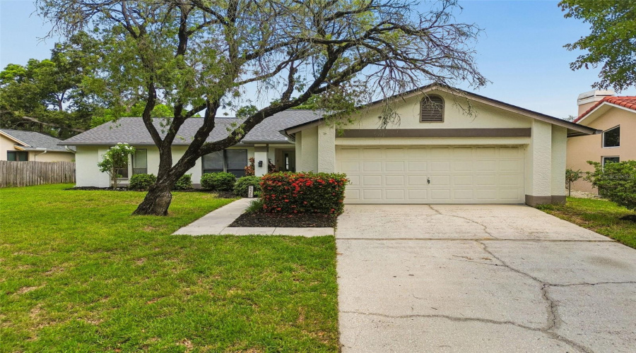 Safety Harbor, Florida 34695, 3 Bedroom Bedrooms, ,2 Bathroombathrooms,Residential,For Sale,Walker,0,Mfrtb8529306