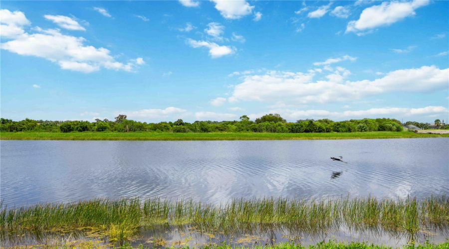 Venice, Florida 34293, 3 Bedroom Bedrooms, ,3 Bathroombathrooms,Residential,For Sale,Waverly,0,Mfrd6148388