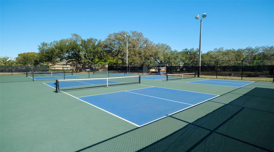 Pickleball And Tennis Courts