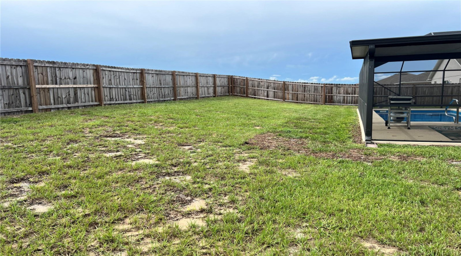 Back Yard