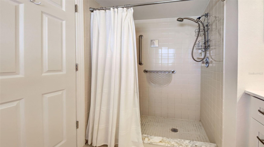 Primary Shower