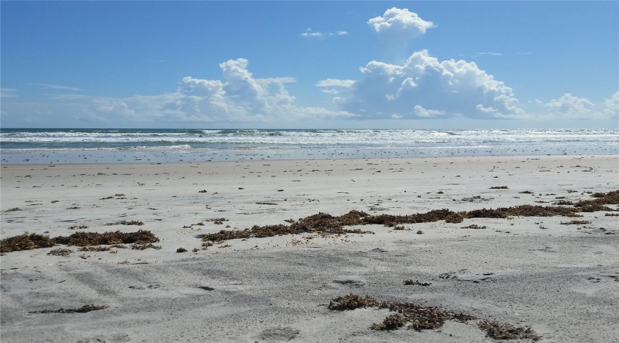 Ormond Beach, Florida 32174, 3 Bedroom Bedrooms, ,2 Bathroombathrooms,Residential,For Sale,Laurel Oaks,0,Mfrfc321016