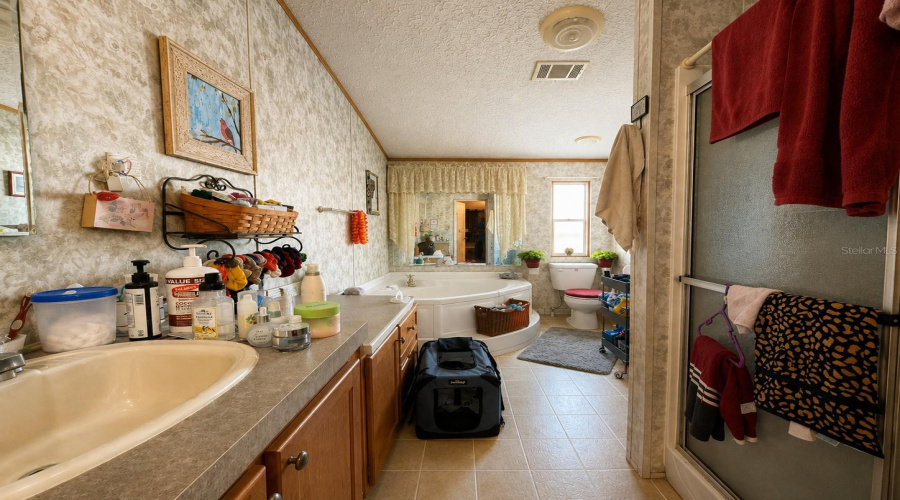 Master Bathroom In It'S Current State