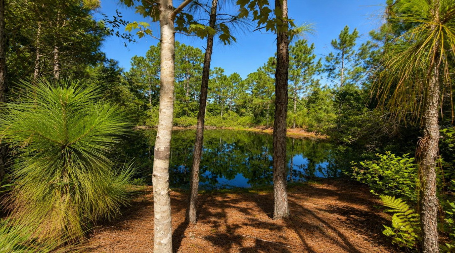 St Cloud, Florida 34773, 3 Bedroom Bedrooms, ,2 Bathroombathrooms,Residential,For Sale,Osceola,0,Mfrs5156360