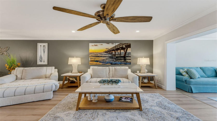 Large Ceiling Fan