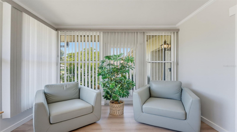 Ample Windows
