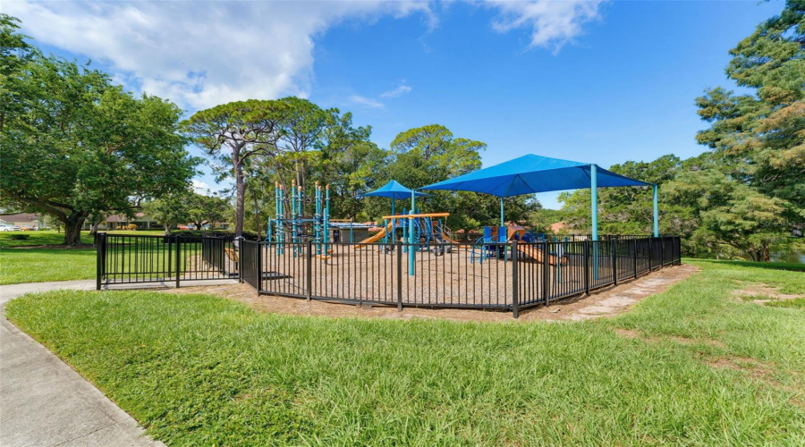Community Park