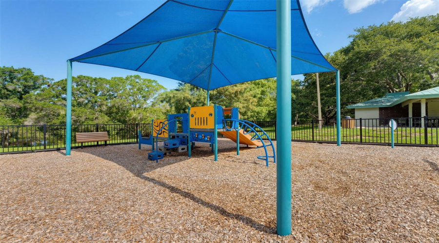 Community Park