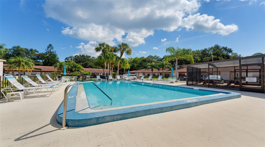Year Round Pool #2
