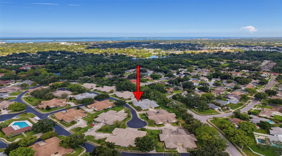 Dunedin, Florida 34698, 2 Bedroom Bedrooms, ,2 Bathroombathrooms,Residential,For Sale,Carlisle,0,Mfrtb8538645