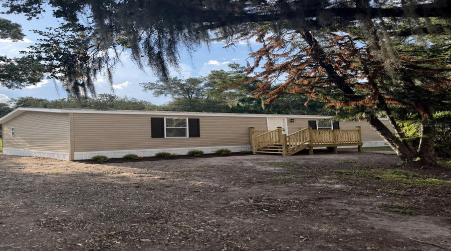 Main Home