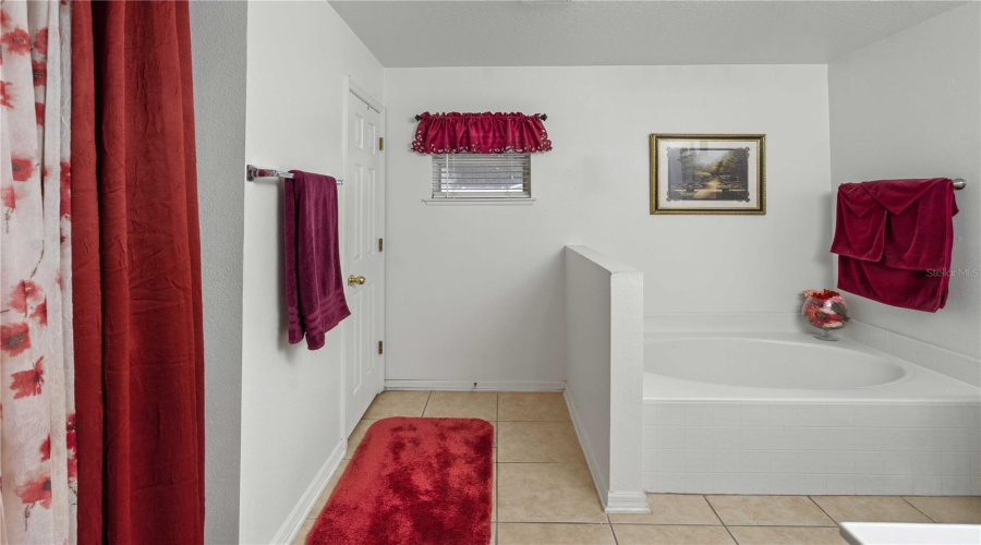 Primary Bath Shower &Amp; Tub