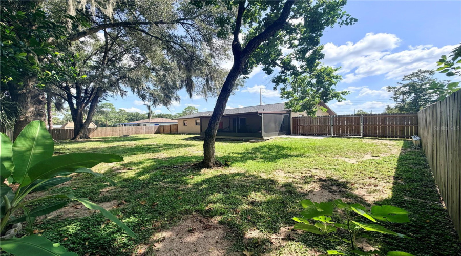 Fenced-In A Backyard