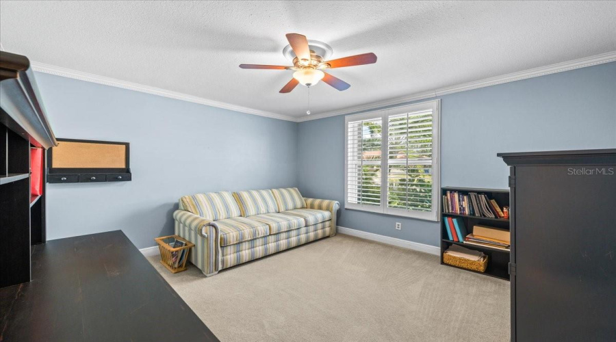 Future Bedroom/Office/Work-Out Space/Craft Room!