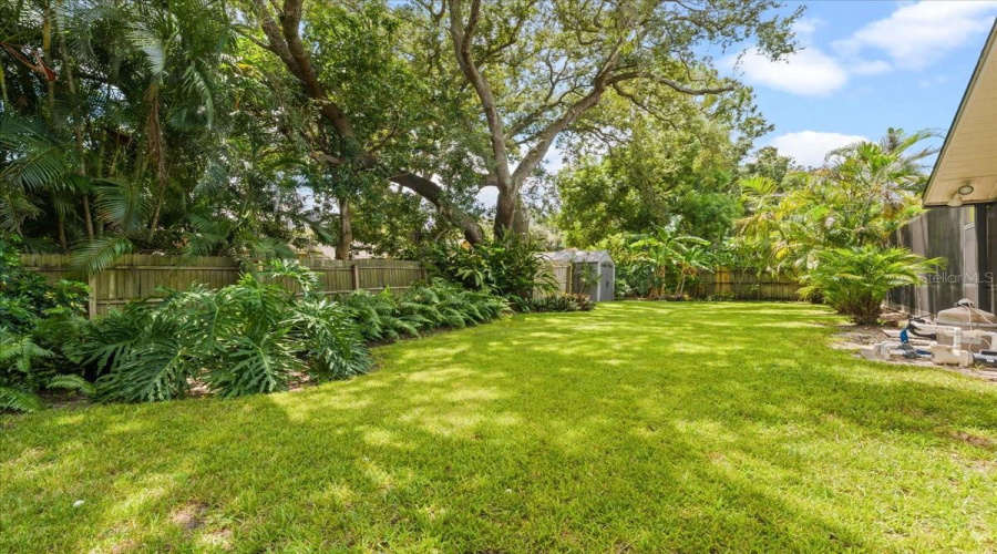 Lovely Manicured Space