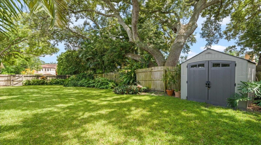 Backyard With Shed For Yard Items