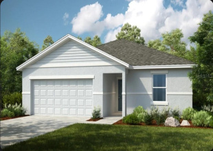 Hawk Rendering