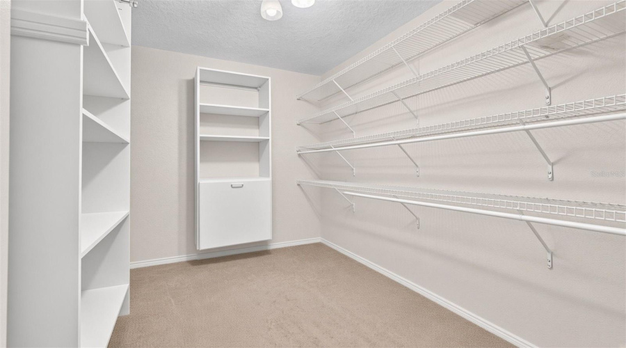 Walk In Closet 2