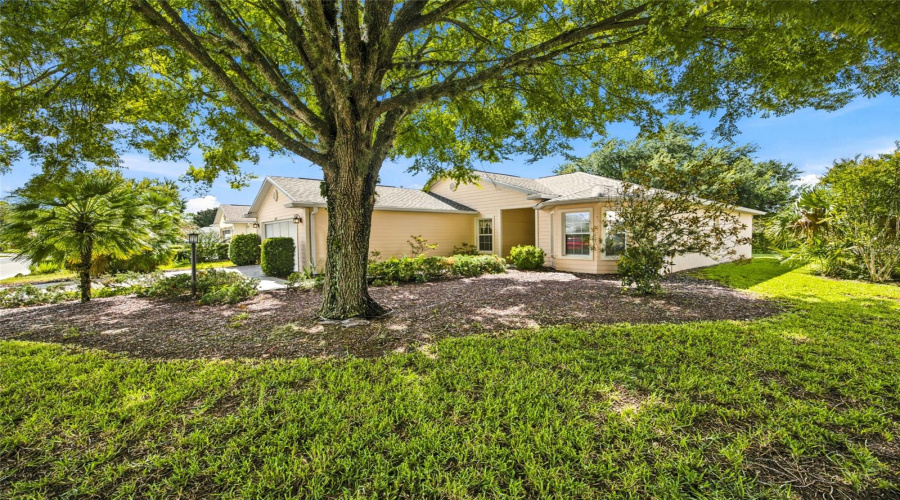 Ocala, Florida 34476, 3 Bedroom Bedrooms, ,2 Bathroombathrooms,Residential,For Sale,81St,0,Mfrom730015