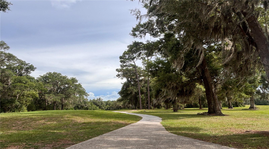 Disc Golf Area