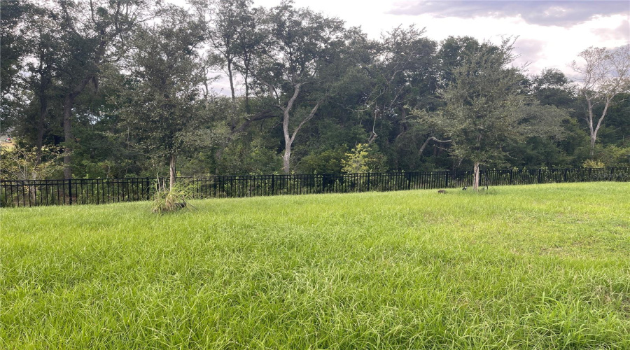 Back Yard