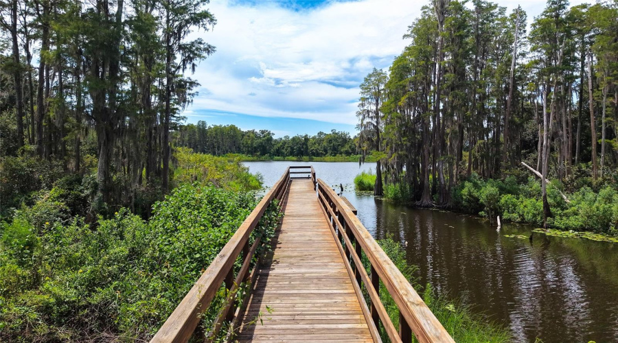 Tampa, Florida 33625, 3 Bedroom Bedrooms, ,2 Bathroombathrooms,Residential,For Sale,Pondhawk,0,Mfrtb8542474