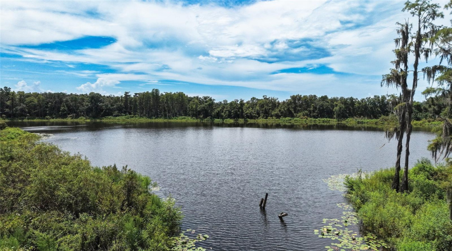Tampa, Florida 33625, 3 Bedroom Bedrooms, ,2 Bathroombathrooms,Residential,For Sale,Pondhawk,0,Mfrtb8542474