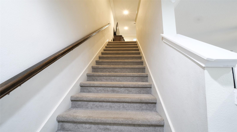 Tampa, Florida 33625, 3 Bedroom Bedrooms, ,2 Bathroombathrooms,Residential,For Sale,Pondhawk,0,Mfrtb8542474