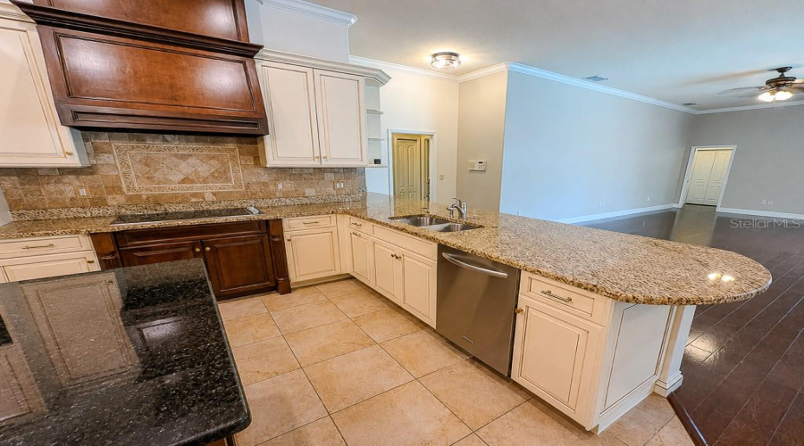 Odessa, Florida 33556, 4 Bedroom Bedrooms, ,3 Bathroombathrooms,Residential,For Sale,Abyss,0,Mfrtb8542609